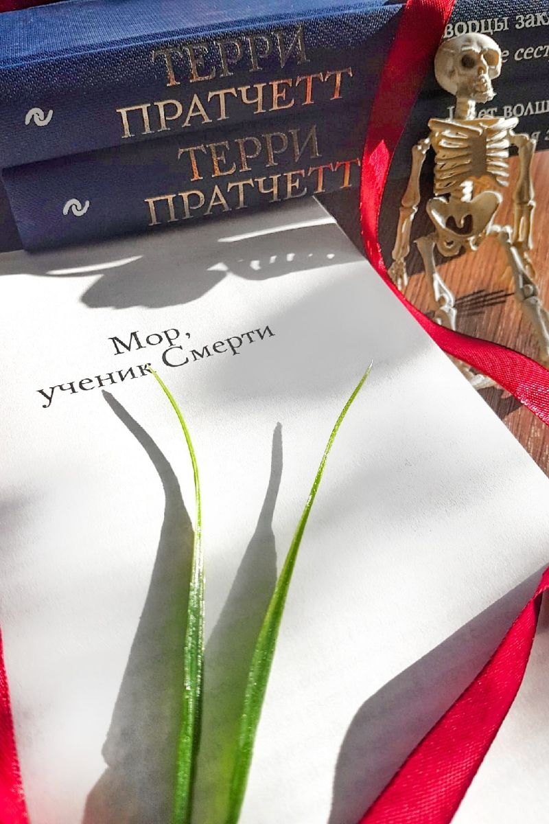 Мор, ученик смерти. Смерть. Плоский Мир