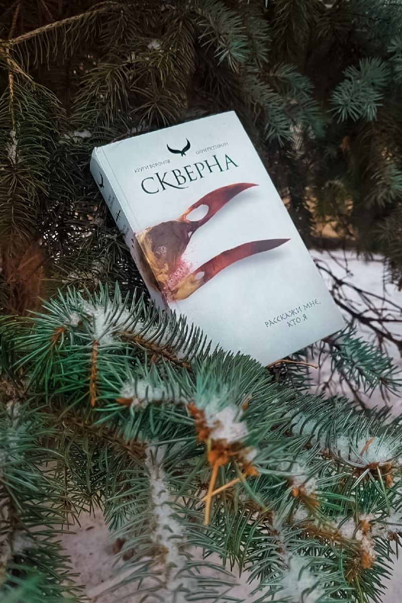 Скверна. Круги Воронов
