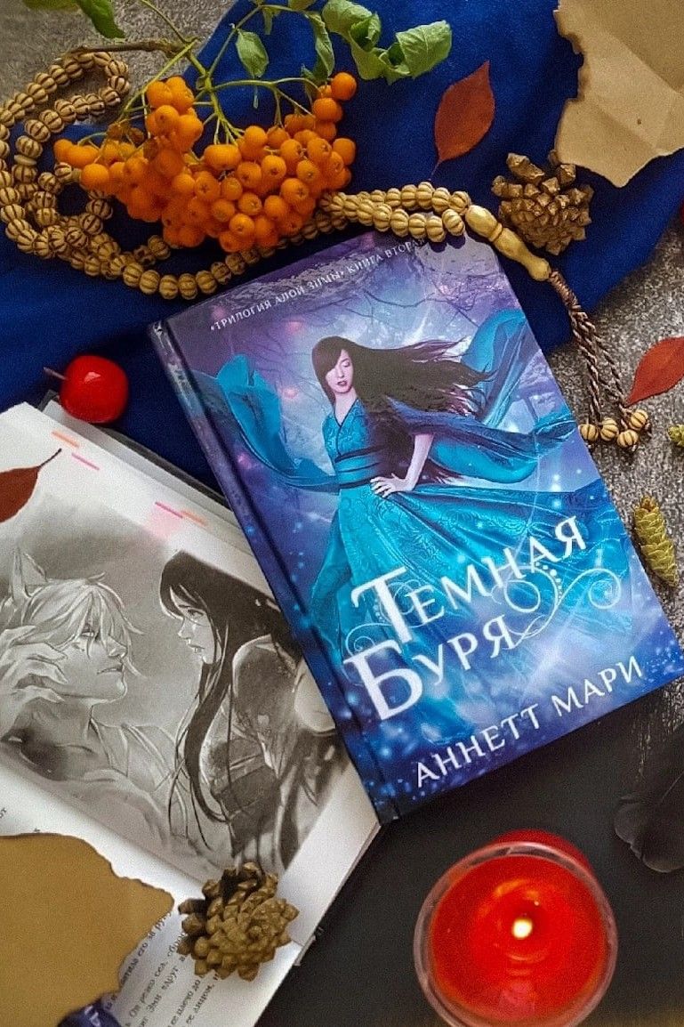 Темная буря. Алая зима