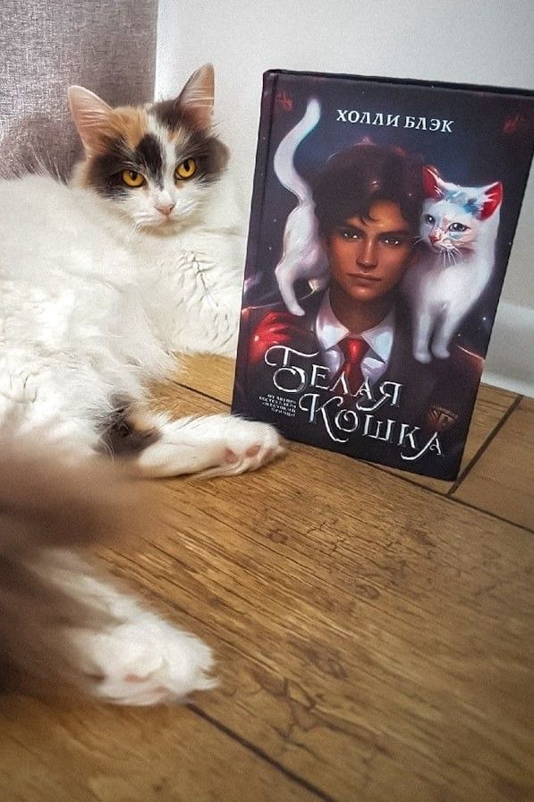 Белая кошка