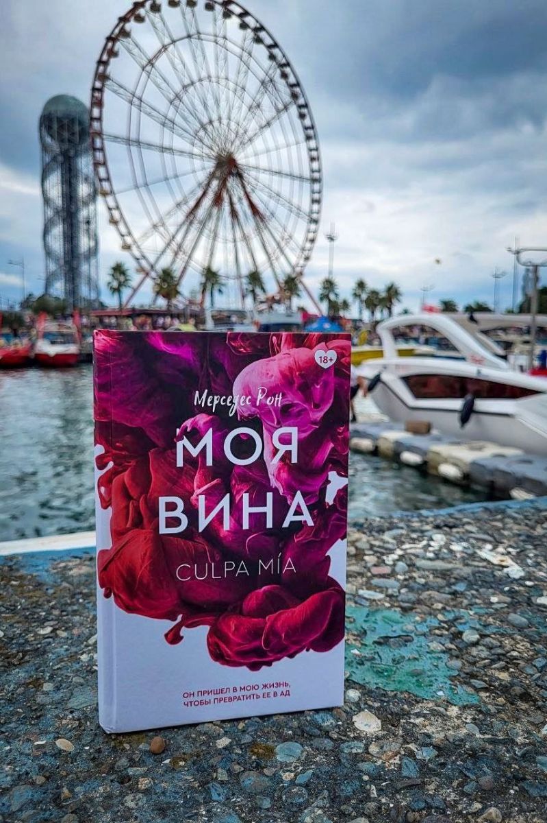 Моя вина